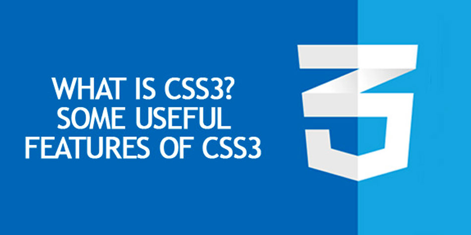 Company News | News | Best IT Services Company in India | Vexilinfotech.com